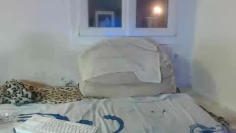 bambino6060 online show from December 2024 04:42:01 PM