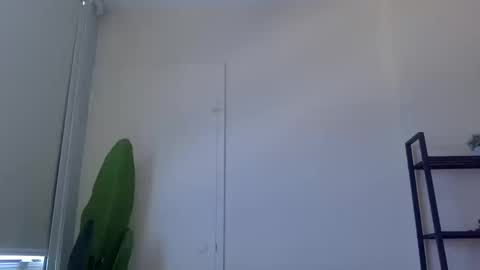 Snapshot of banana5289 chatting on October 2025 04:52:02 PM banana5289 online show from October 2025 04:52:02 PM