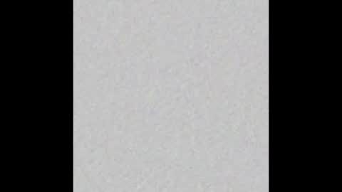 Snapshot of barbie_and_lituam chatting on January 2025 02:24:02 PM BarbieLituam online show from January 2025 02:24:02 PM