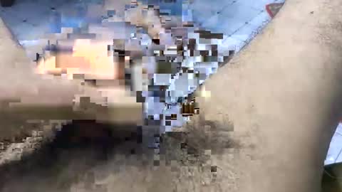 bd_sam_69 online show from November 2025 09:50:02 PM