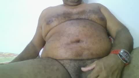 Grizzly   online show from January 2025 08:25:01 AM