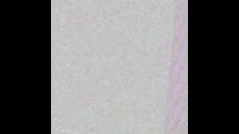 Snapshot of bedstuymonstercock90 chatting on November 2025 07:49:02 PM hungnheavy online show from November 2025 07:49:02 PM