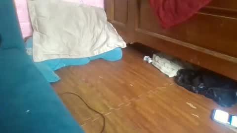 Snapshot of beebaby_xx chatting on November 2025 03:39:01 PM beebaby_xx online show from November 2025 03:39:01 PM