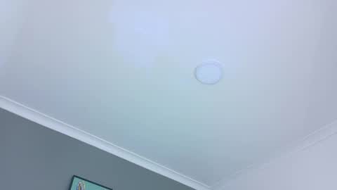 BELA online show from October 2025 11:36:01 AM