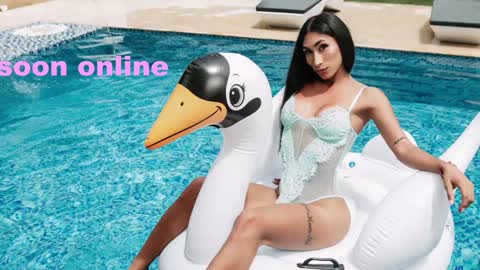 Nicolle Aviles online show from January 2025 08:49:02 AM