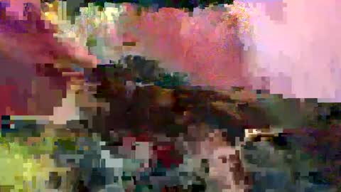 Snapshot of big9inchsnake chatting on January 2025 12:42:01 AM big9inchsnake online show from January 2025 12:42:01 AM