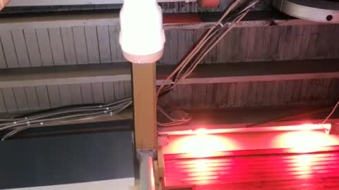 Snapshot of bigassman46 chatting on October 2025 10:08:01 PM Straight Dave online show from October 2025 10:08:01 PM