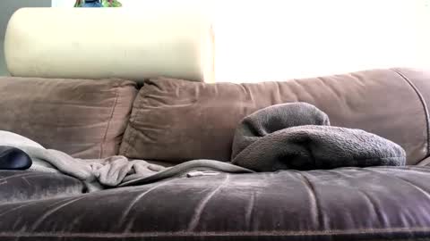 Snapshot of bigboadick chatting on October 2025 02:18:02 PM bigboadick online show from October 2025 02:18:02 PM