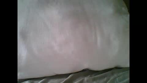 Snapshot of bigbravo337 chatting on November 2025 02:27:02 PM bigbravo337 online show from November 2025 02:27:02 PM