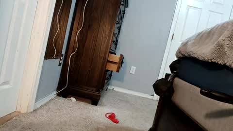 bigcockdaddy247 online show from December 2024 05:07:01 AM