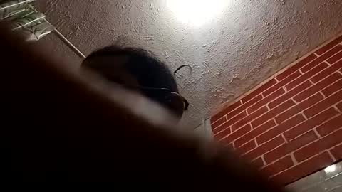 Snapshot of bigdaddy1231995 chatting on October 2025 09:24:01 AM BigDaddykodack online show from October 2025 09:24:01 AM