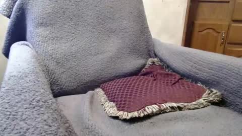 Snapshot of bigdickdaddy567130413 chatting on December 2024 02:42:01 PM bigdickdaddy567130413 online show from December 2024 02:42:01 PM