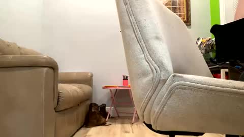 bigeddie88 online show from September 2025 11:52:02 PM