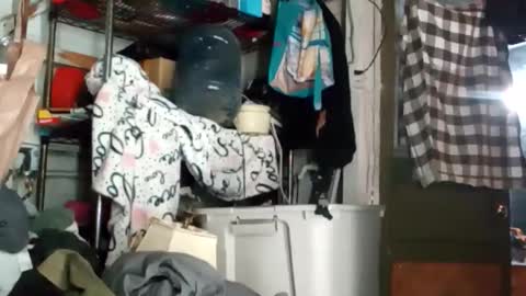 Snapshot of bigmanaround9 chatting on October 2025 09:08:01 AM bigmanaround9 online show from October 2025 09:08:01 AM