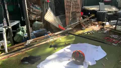 Snapshot of bigmanaround9 chatting on October 2025 06:18:02 PM bigmanaround9 online show from October 2025 06:18:02 PM