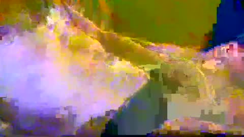 Snapshot of bigrigxxxx chatting on December 2024 12:16:02 PM bigrig online show from December 2024 12:16:02 PM