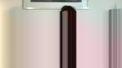 tall boy online show from October 2025 08:26:01 AM