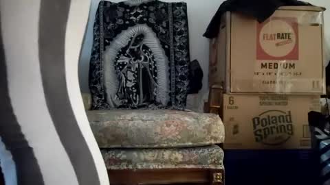 bigtopcircus online show from September 2025 10:56:02 PM