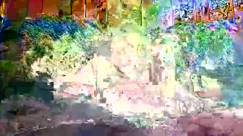 bigwytecock1979 online show from December 2024 01:24:01 PM