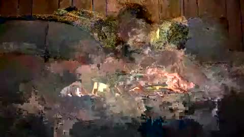 bigwytecock1979 online show from December 2024 07:31:01 AM