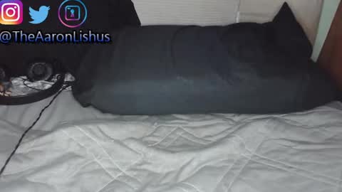 bizarre99 online show from January 2025 05:12:02 AM