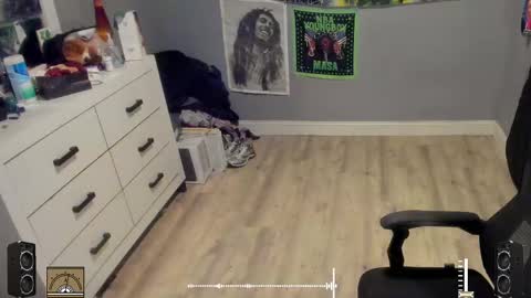 Snapshot of blaccanalmatters chatting on October 2025 11:29:02 PM Plant Base Streamers From Pennsylvania online show from October 2025 11:29:02 PM