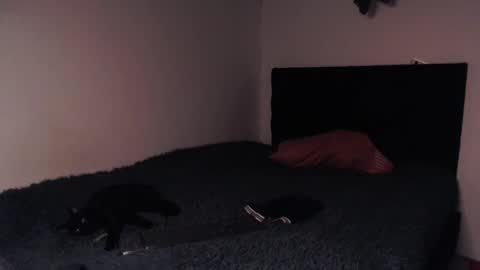 black_firex online show from October 2025 09:34:02 PM