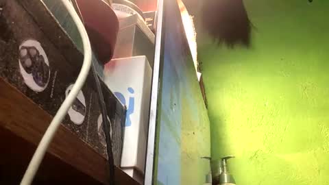 Snapshot of blackasiancockts chatting on November 2025 02:49:02 PM Crystal online show from November 2025 02:49:02 PM