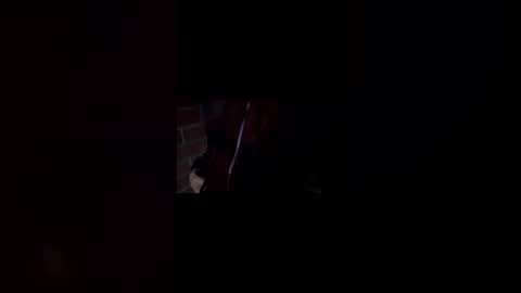 blackboyfeet online show from November 2025 11:54:02 AM