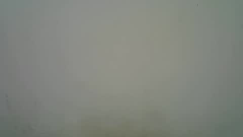 Snapshot of blesse_mixed chatting on November 2025 05:18:02 AM Black brown online show from November 2025 05:18:02 AM