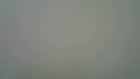 Snapshot of blesse_mixed chatting on November 2025 05:29:01 AM Black brown online show from November 2025 05:29:01 AM