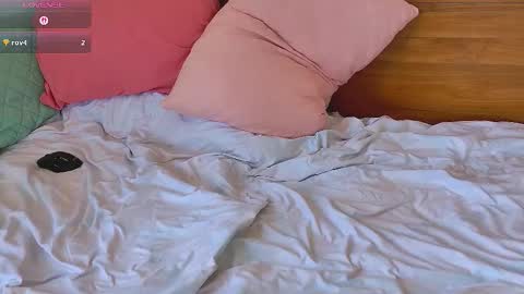 Snapshot of blondiesweet chatting on October 2025 04:56:02 AM Sasha online show from October 2025 04:56:02 AM