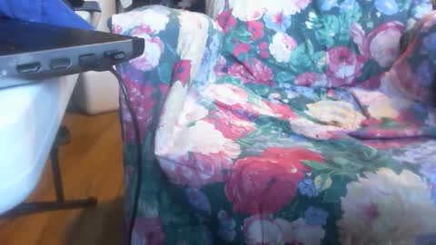 Snapshot of blowfish33890 chatting on March 2025 10:09:02 PM blowfish33890 online show from March 2025 10:09:02 PM