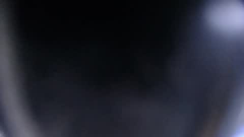 bunbury online show from October 2025 01:43:02 PM