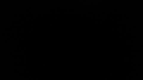 bunbury online show from October 2025 10:32:02 PM