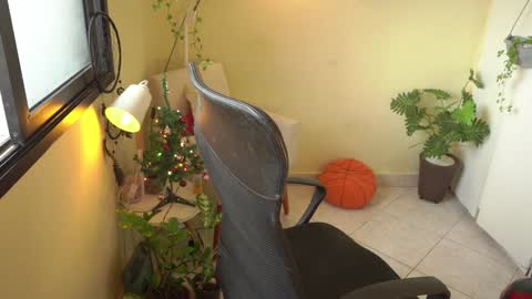 FLORAA online show from December 2024 10:42:02 AM