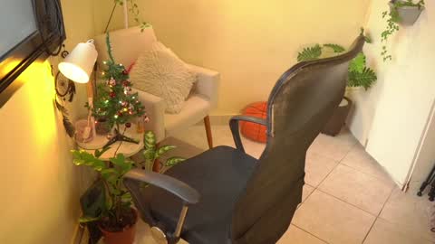 FLORAA online show from December 2024 08:44:02 AM