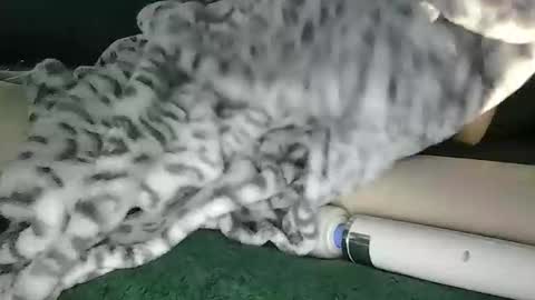 lyss online show from October 2025 09:39:02 PM