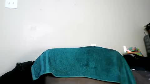 bobbiebone and company online show from January 2025 08:11:02 PM