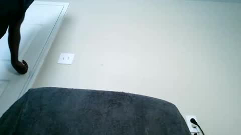 bobbiebone and company online show from March 2025 06:19:02 PM