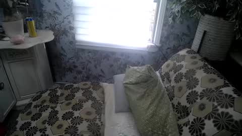 Snapshot of bobbyandsadie chatting on November 2025 02:49:01 PM Bobby and Sadie online show from November 2025 02:49:01 PM