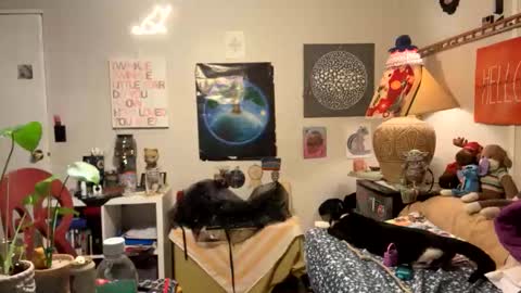 Snapshot of bobbyq2969 chatting on November 2025 03:38:01 AM bobbyq2969 online show from November 2025 03:38:01 AM