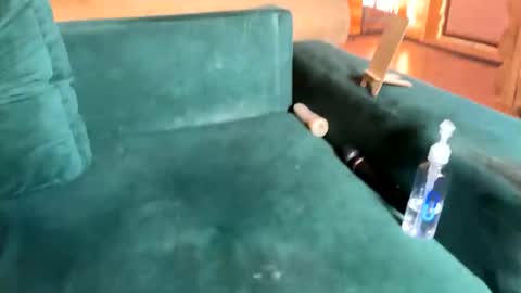 Snapshot of bohemianrhapsody1 chatting on October 2025 10:35:02 AM Nail and Olivia online show from October 2025 10:35:02 AM