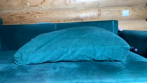 Snapshot of bohemianrhapsody1 chatting on October 2025 09:10:01 AM Nail and Olivia online show from October 2025 09:10:01 AM