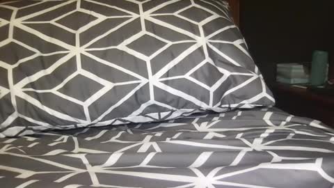 boldlust online show from December 2024 02:52:01 AM