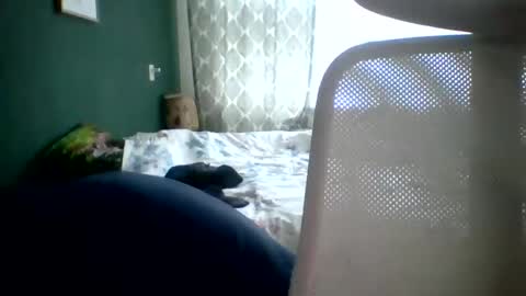 Snapshot of bomba8111 chatting on January 2025 11:45:02 AM bomba8111 online show from January 2025 11:45:02 AM