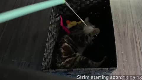 Booker Baxton online show from October 2025 03:04:01 AM