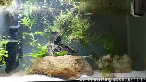 Booker Baxton online show from November 2025 02:57:02 AM