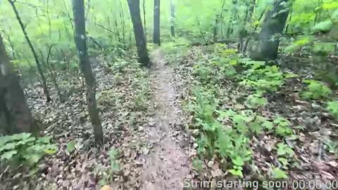 Booker Baxton online show from November 2025 04:01:02 AM