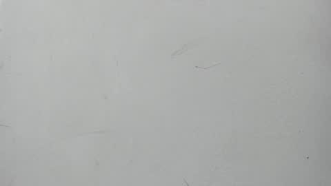 Snapshot of boomboomhoot chatting on January 2025 07:05:01 PM Maggie and Jay online show from January 2025 07:05:01 PM